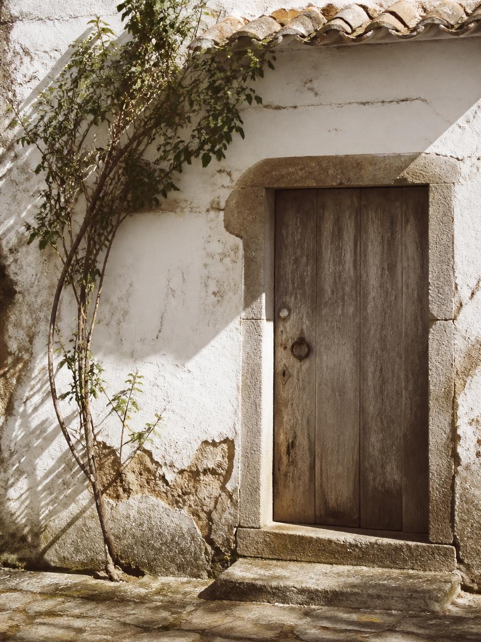 Fachada antiga de casa caiada com porta de madeira gasta, moldura de pedra e uma trepadeira a subir a parede.